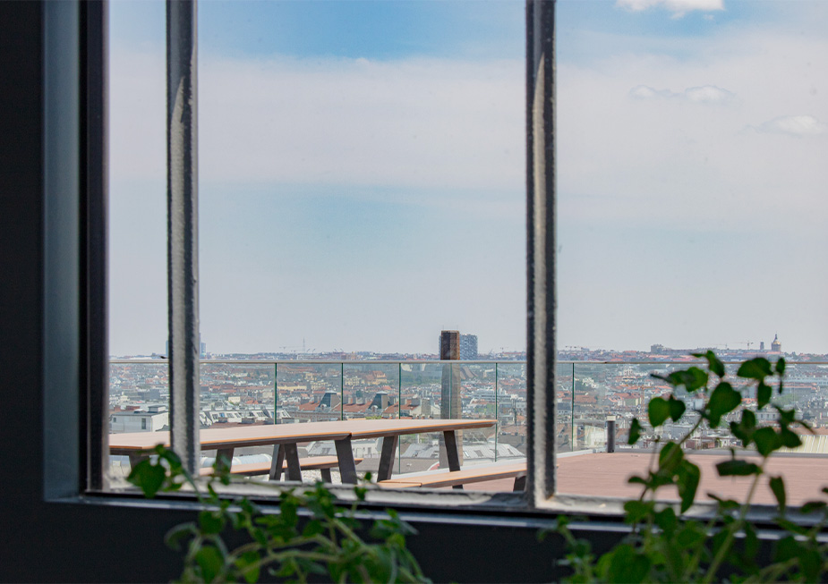 view of the terrace through the kitchen window with herbs in the foreground (Photo)