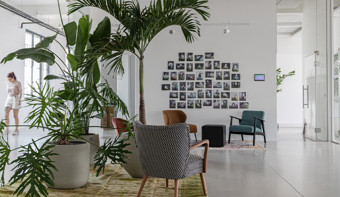 entry space to our office with several tall, lush plants (Photo)